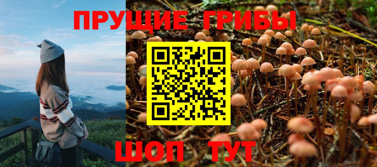 Галлюциногенные грибы ЛСД  Вход с VPN  Сердобск 